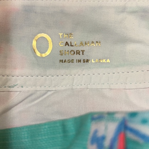 Lilly Pulitzer Callahan Shorts Minty Fresh Fansea Print, Sz 0 - Picture 7 of 10